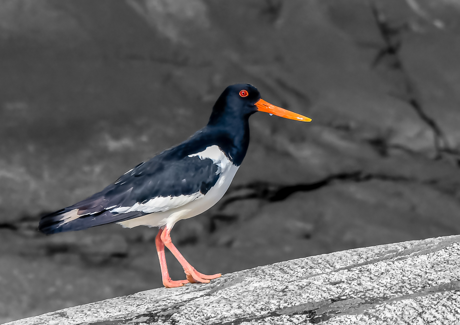 Strandskata